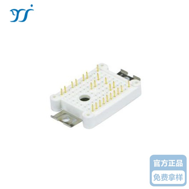 MG10P12P2  IGBT